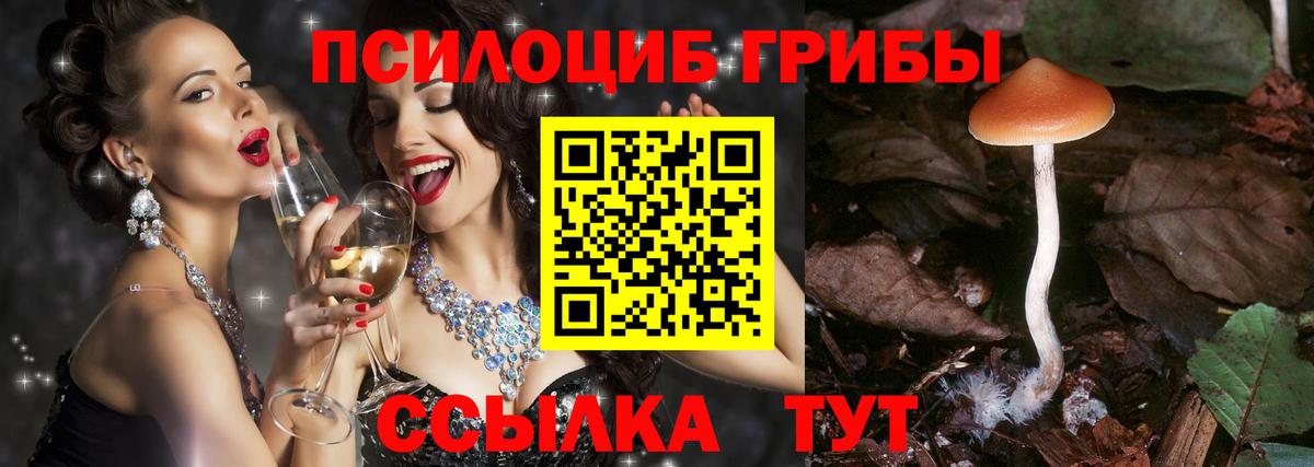Краснотурьинск  Псилоцибиновые грибы MAGIC MUSHROOMS  Вход с VPN 